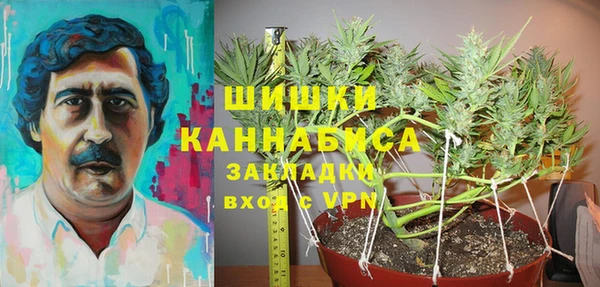 дурь Богородицк