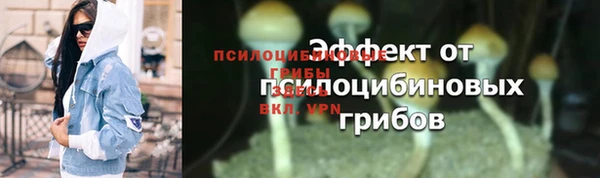 ПСИЛОЦИБИНОВЫЕ ГРИБЫ Богородск