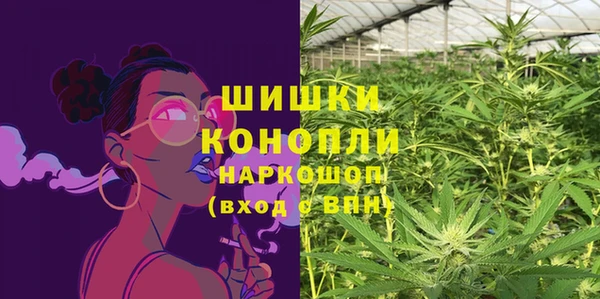 дурь Богородицк