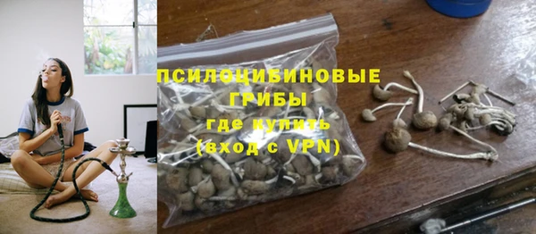 дурь Богородицк