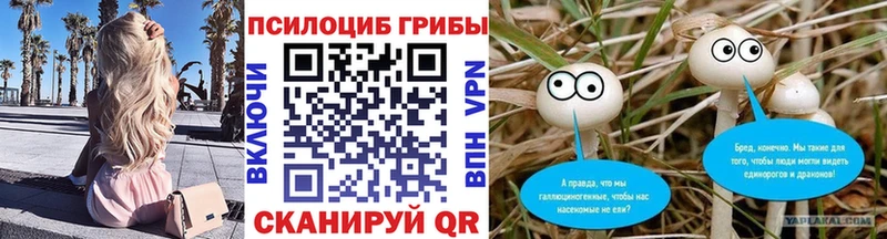 купить наркотик  Старица  Псилоцибиновые грибы ЛСД 
